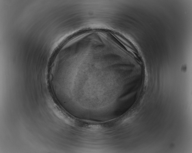 X0000116670391200912291703