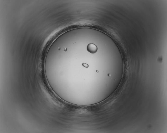 X0000116670392200912291703