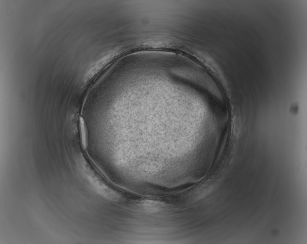 X0000116670393200912291703