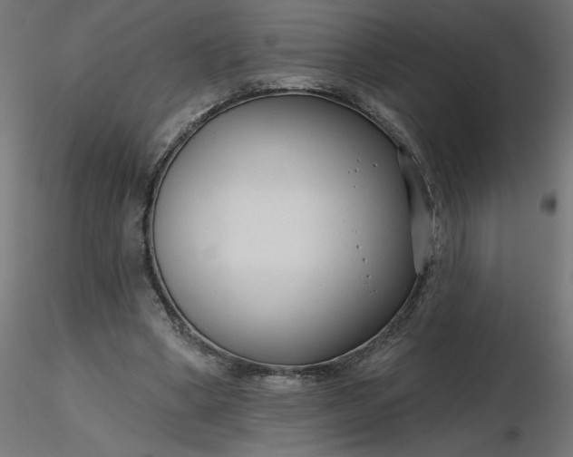 X0000116670394200912291703