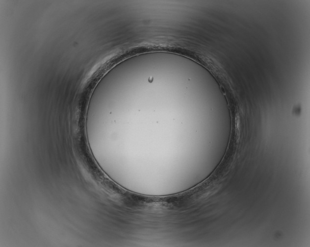 X0000116670396200912291702