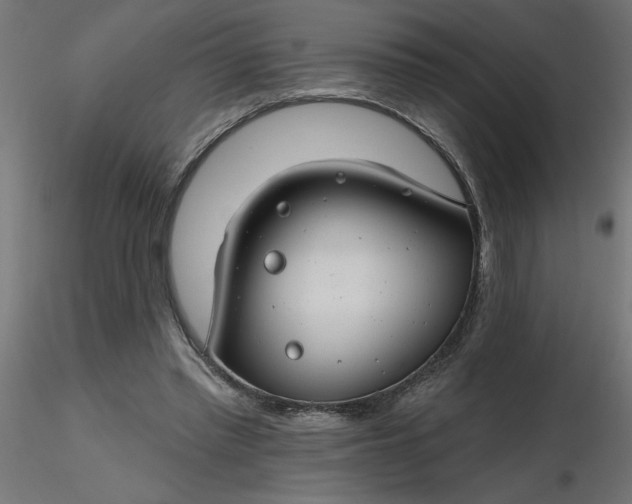 X0000116670397200912291702