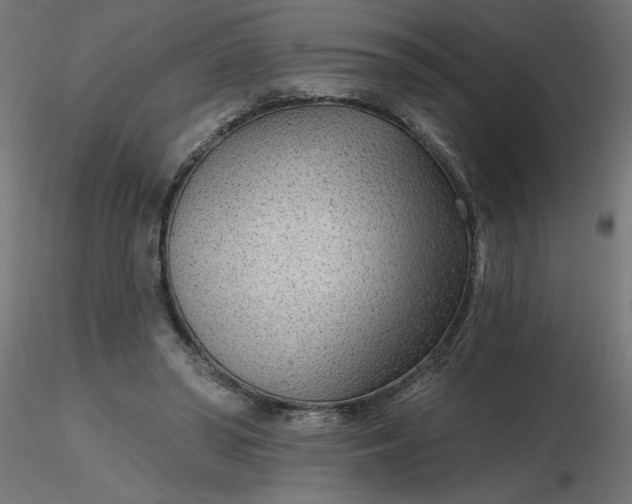 X0000116670398200912291702