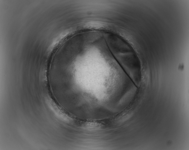 X0000116670399200912291702