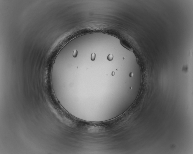 X0000116670400200912291702