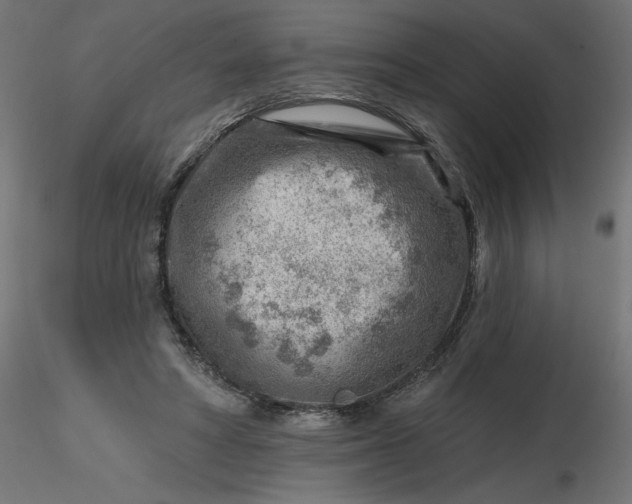 X0000116670402200912291702