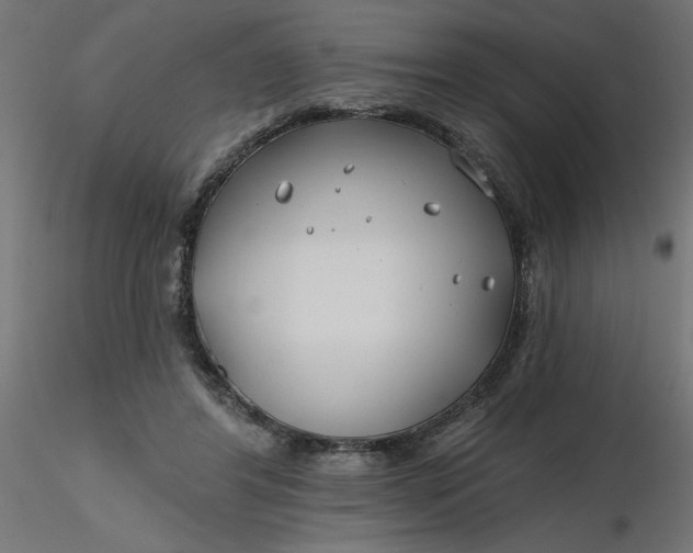 X0000116670404200912291702