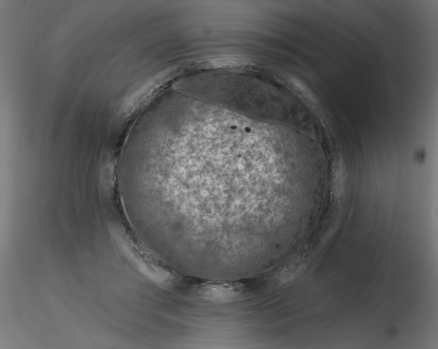 X0000116670405200912291702