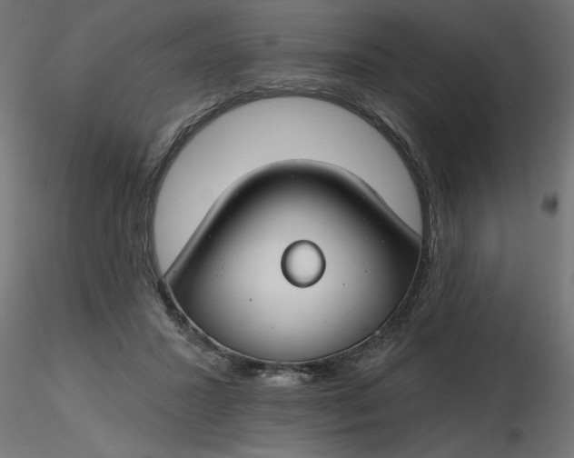 X0000116670407200912291702