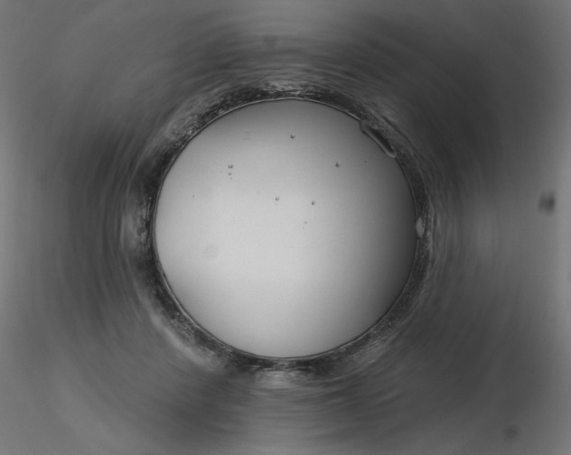 X0000116670408200912291702