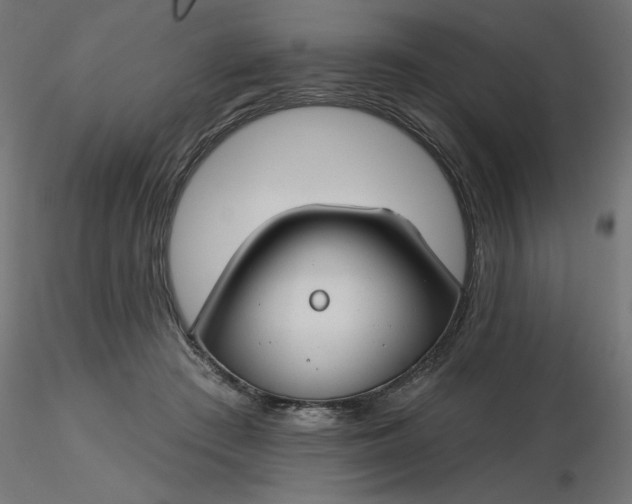 X0000116670409200912291702