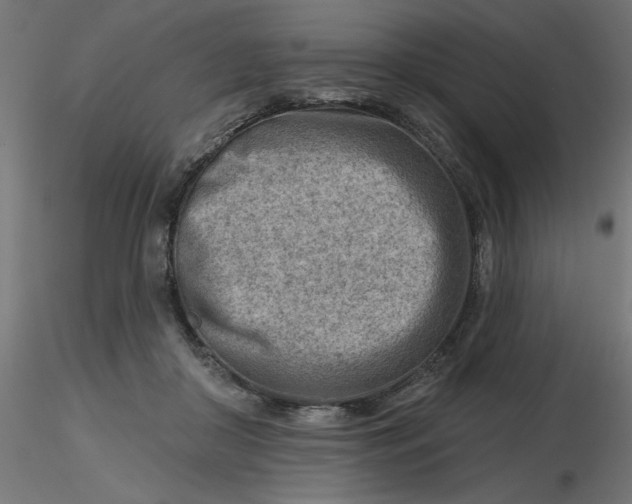 X0000116670410200912291702