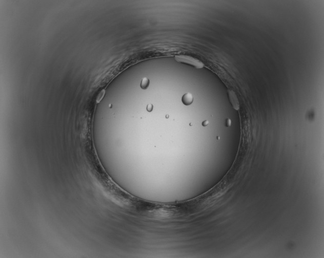 X0000116670412200912291702