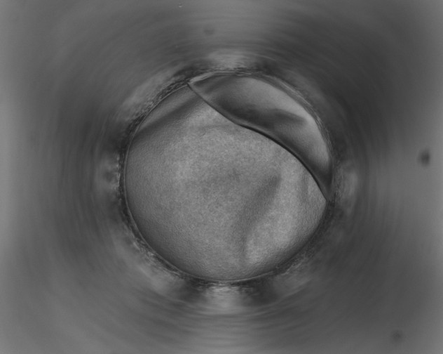 X0000116670413200912291702