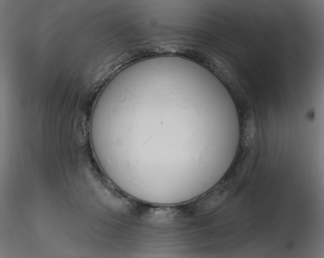 X0000116670414200912291702