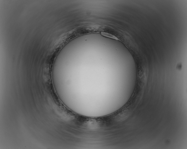 X0000116670416200912291702