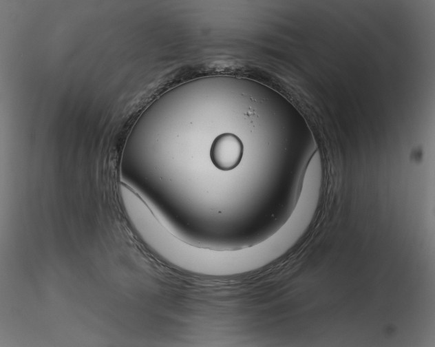 X0000116670417200912291702