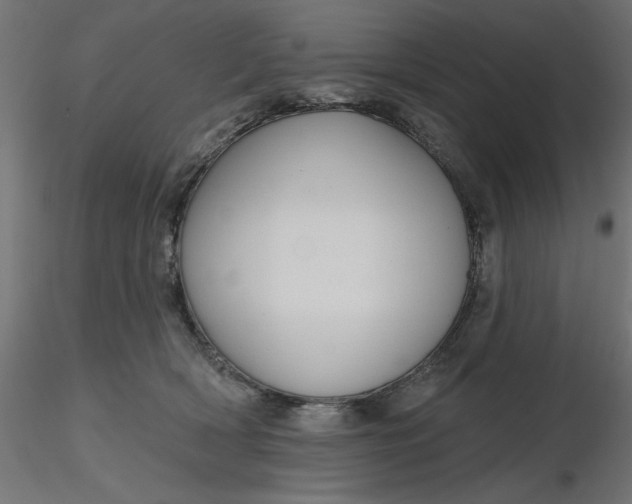 X0000116670418200912291702