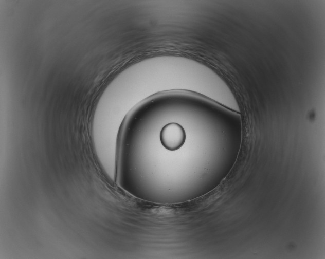 X0000116670419200912291702