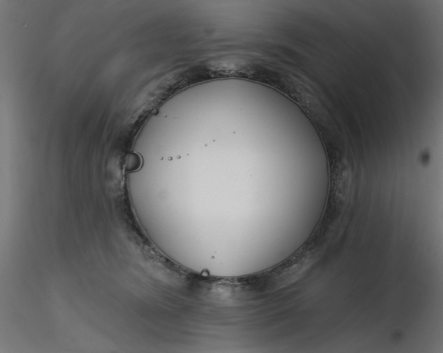 X0000116670420200912291702