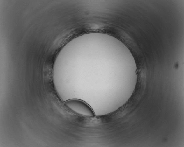 X0000116670421200912291702