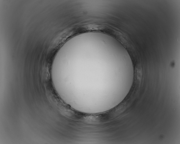 X0000116670422200912291702