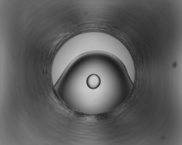 X0000116670423200912291702