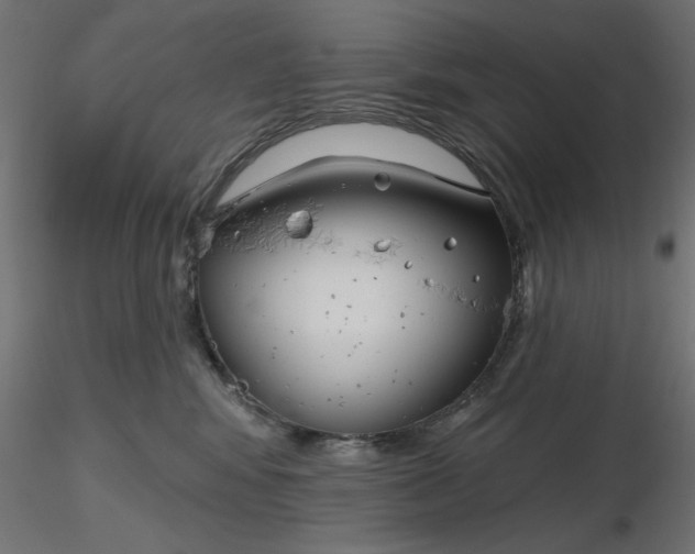 X0000116670424200912291702