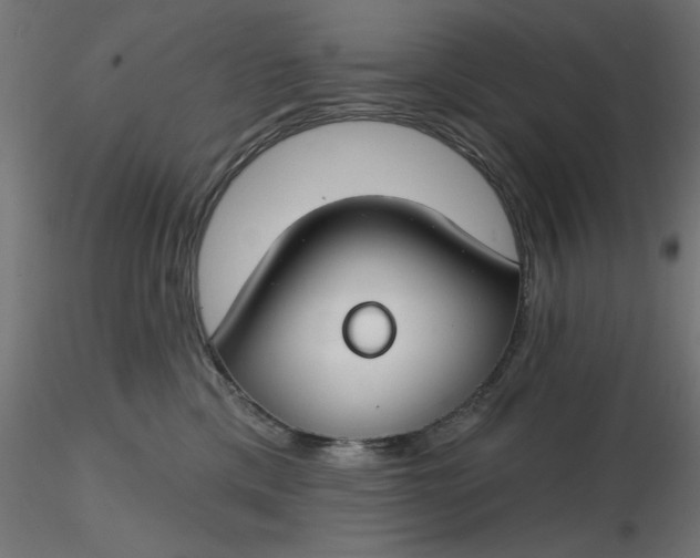 X0000116670425200912291702