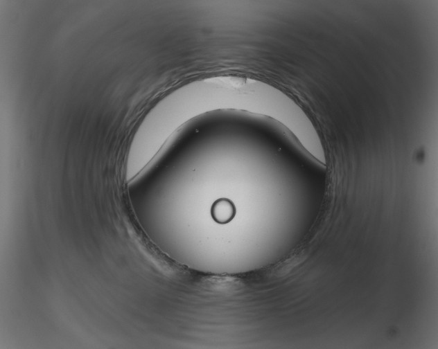 X0000116670427200912291702