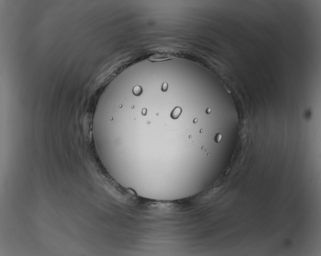 X0000116670428200912291702