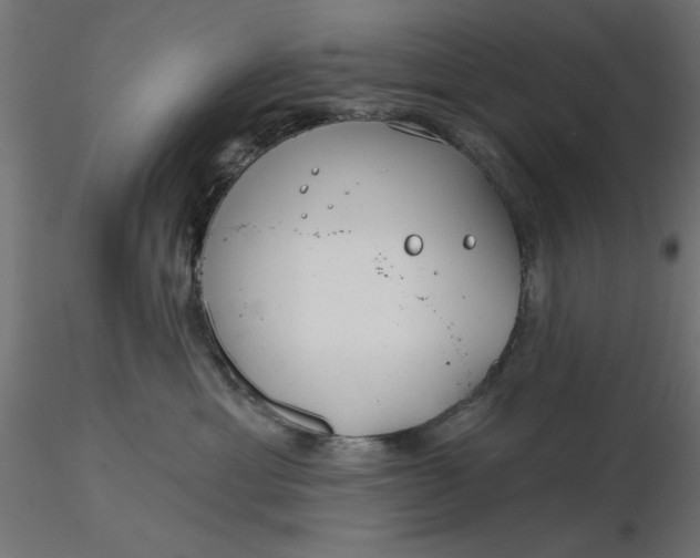 X0000116670429200912291702