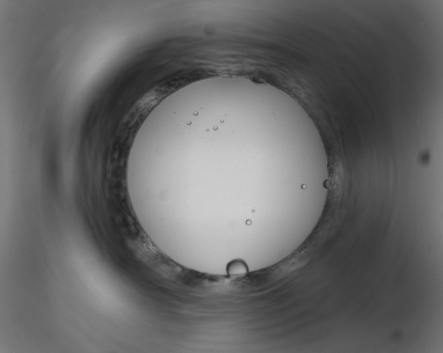 X0000116670430200912291702