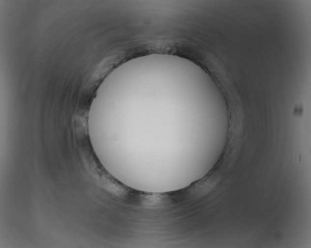 X0000116670432200912291702