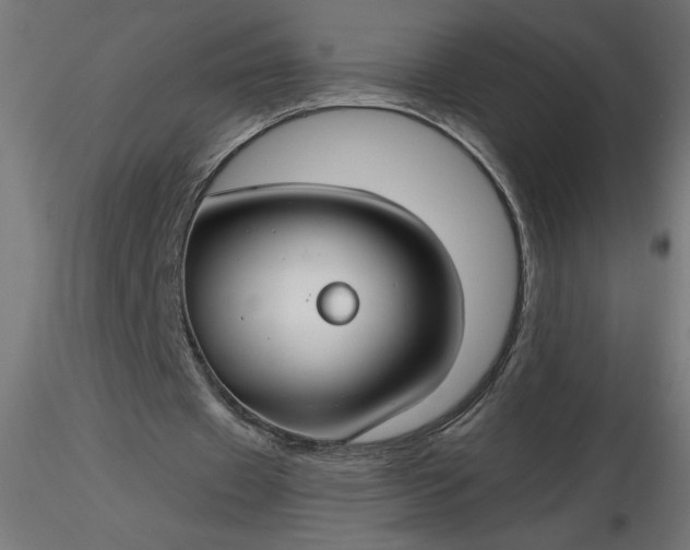 X0000116670433200912291701