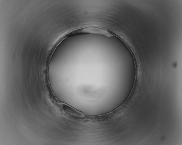 X0000116670434200912291701