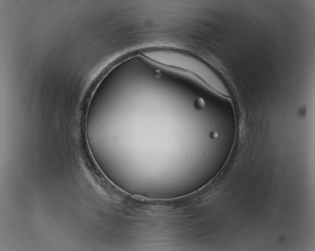 X0000116670436200912291701