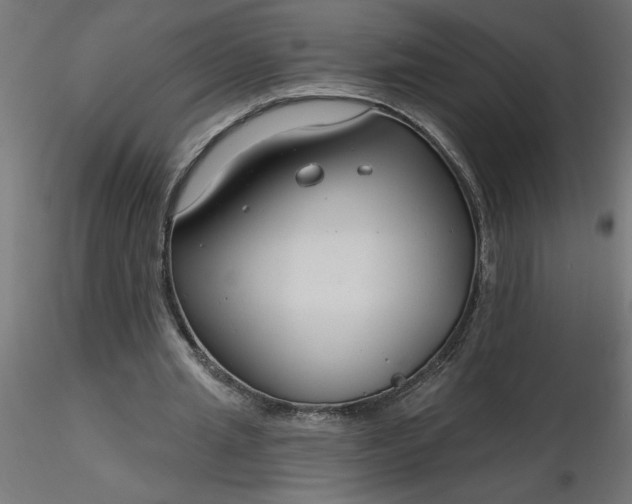 X0000116670437200912291701