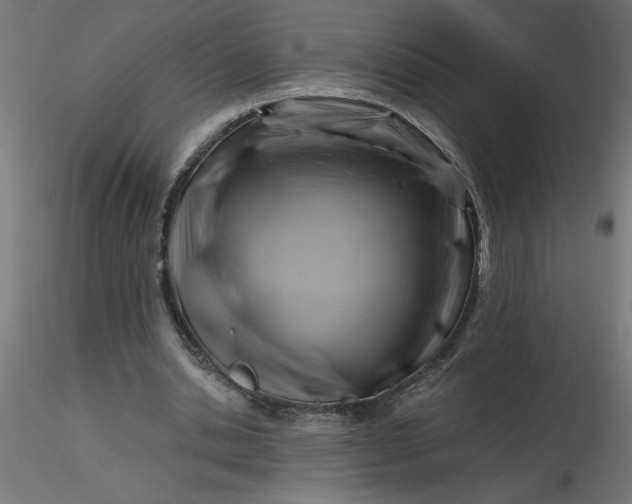 X0000116670438200912291701