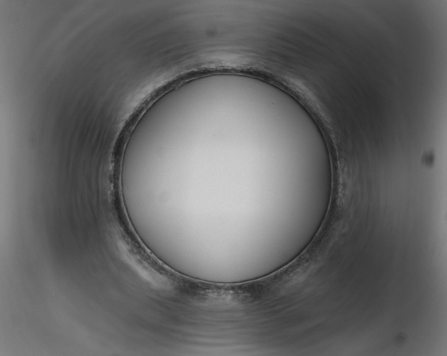 X0000116670439200912291701