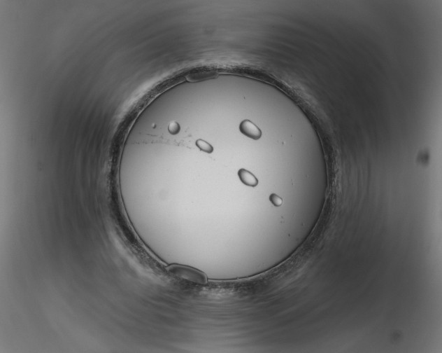 X0000116670440200912291701