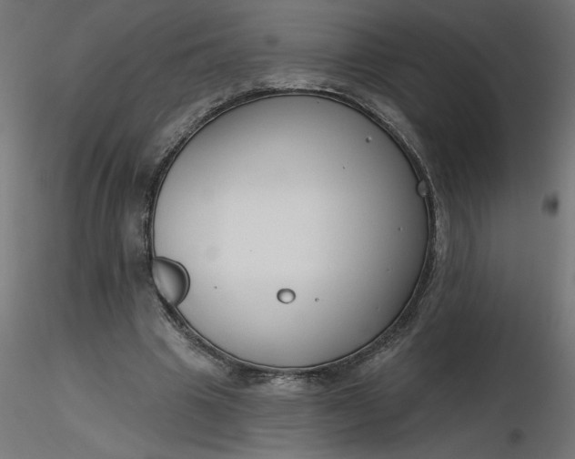 X0000116670441200912291701