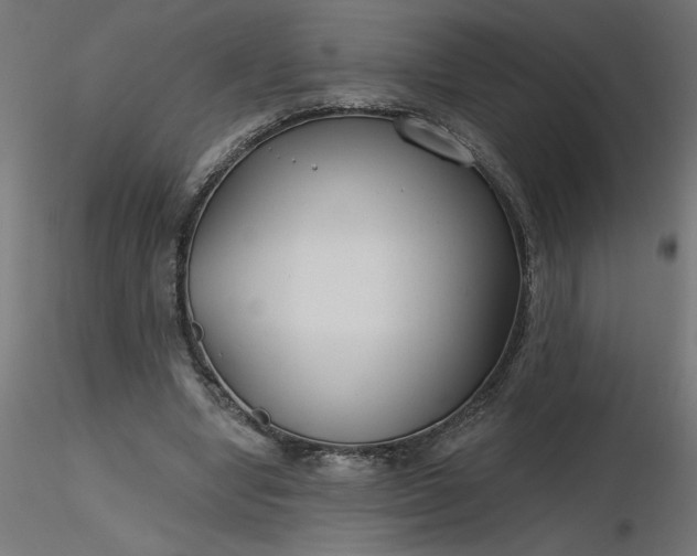 X0000116670442200912291701