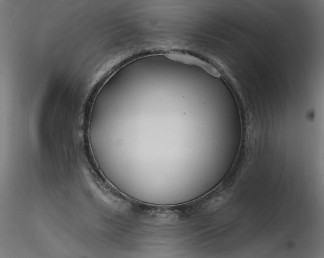 X0000116670443200912291701