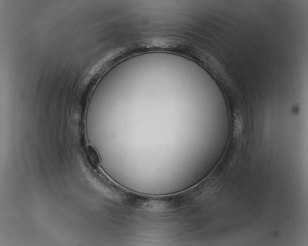 X0000116670444200912291702