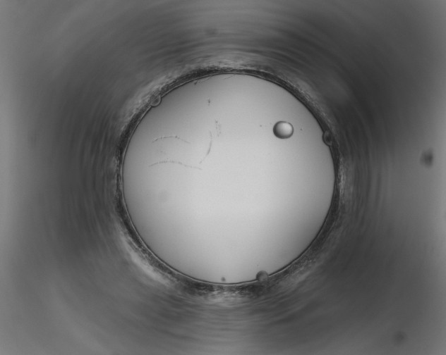 X0000116670445200912291702