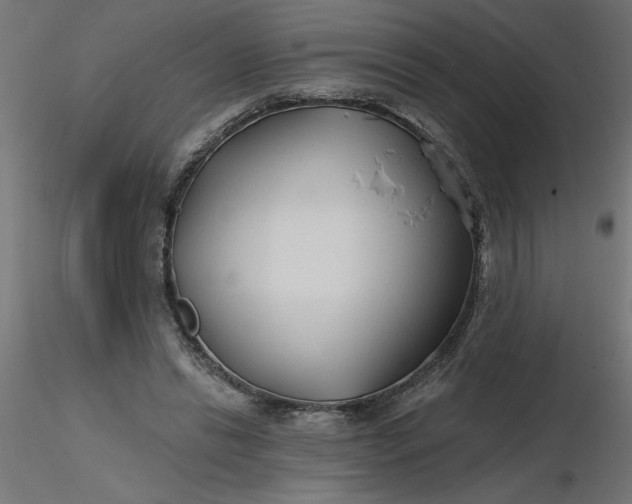 X0000116670446200912291702