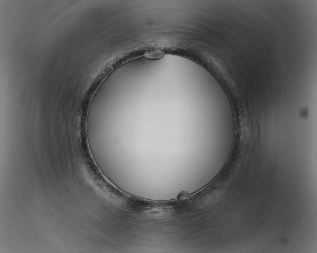 X0000116670447200912291702