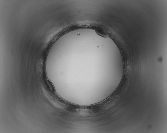 X0000116670448200912291702