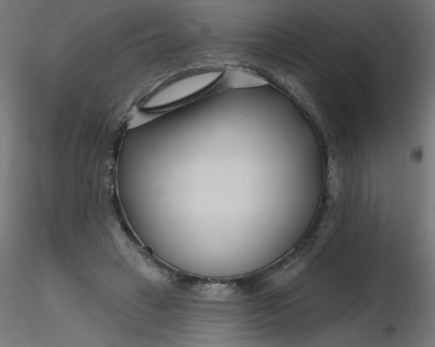 X0000116670449200912291702